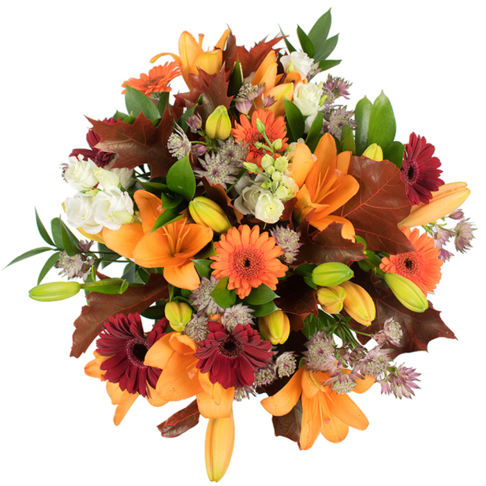 A lush, densely packed autumnal bouquet captured from a close, overhead angle on pristine white-every colour and texture painstakingly visible. Several prominent orange Asiatic lilies take centre stage, their velvety, trumpet-like petals opened wide, while numerous green to pale-orange lily buds are tucked among them, introducing a sense of future bloom and layered depth. Bright orange Gerbera daisies and deep burgundy-red Gerberas with their dark centres punctuate the arrangement, offering lively, sun-like dots against the more muted tones. Creamy white lisianthus (or small garden roses) appear in clusters, their ruffled, layered petals softening the composition, while the distinctive, star-shaped purple Astrantia adds an airy, almost celestial texture among the denser flowers. Generous, deeply lobed leaves in warm reddish-brown-evocative of oak or fallen maples-are artfully placed like autumn confetti, complemented by fresh green foliage and long slender stems that steady the overall silhouette. The bouquet reads as freshly gathered from a countryside hedgerow yet refined in its professional balance; the lighting makes the oranges glow and the whites sing, creating vivid contrast against the white backdrop. As a local florist based in Southend on Sea, Flowers Southend on Sea would suggest this arrangement for Thanksgiving centrepieces, seasonal corporate gifts around the High Street, or a cosy birthday surprise delivered across Thorpe Bay. The scent is quietly floral with an earthy heart, and the tactile mix of satiny petals, crisp leaves, and feathery Astrantia invites close presence and lingering appreciation.